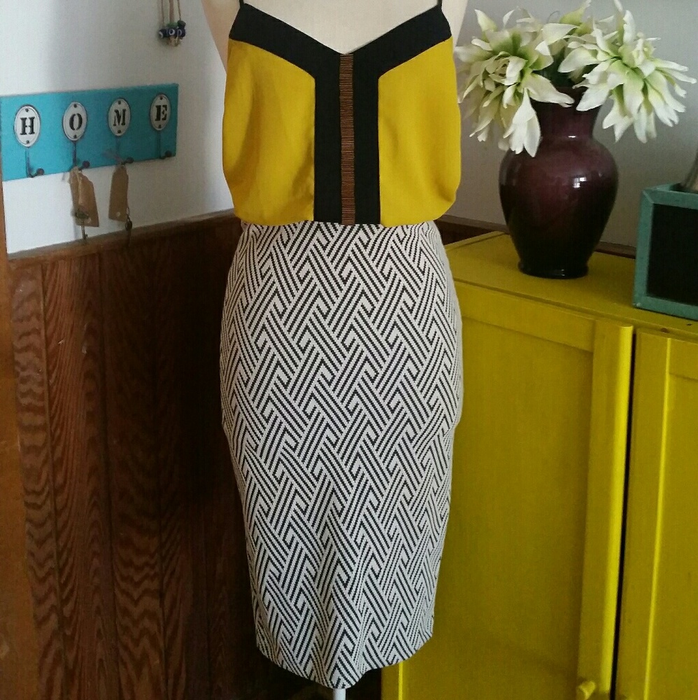 Pencil Skirt